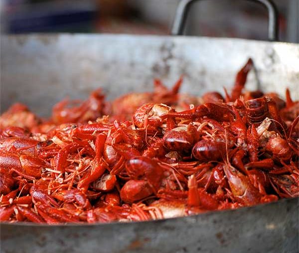 Port Salerno Seafood Festival
