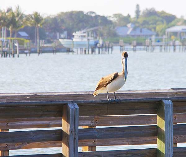 Sandsprit Park, Port Salerno